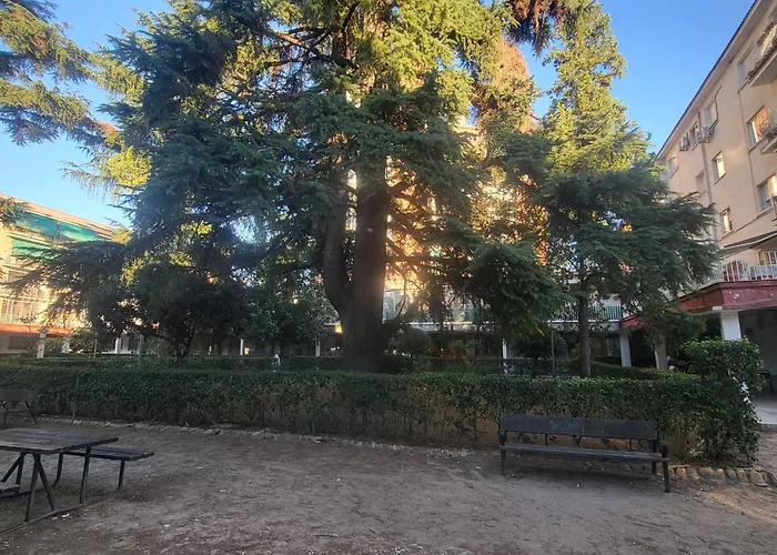 Volpi Mazzo